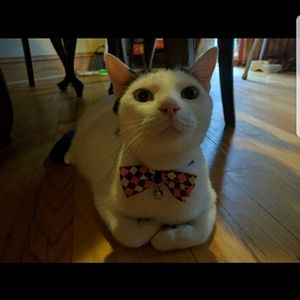 Meet your Posher, Tea